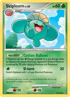 Skiploom