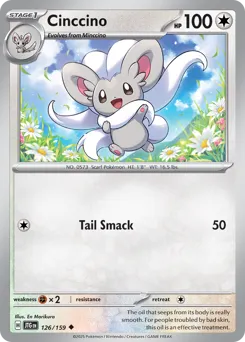 Cinccino